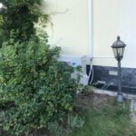 Venkovní jednotka klimatizace Daikin u stěny domu obklopená zelení